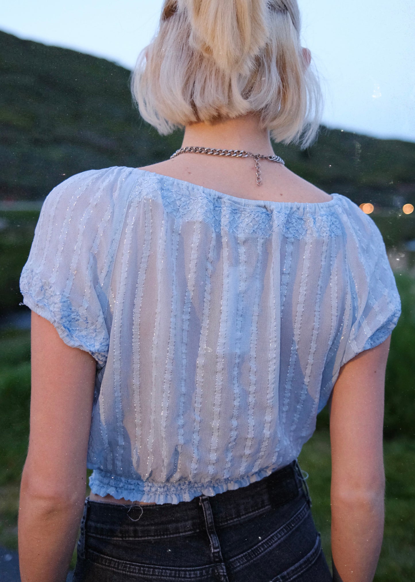 Embroidered Sheer Croptop